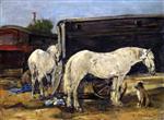 Bild:38617
