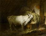 Bild:39425