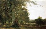 Bild:39940