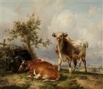 Bild:40454