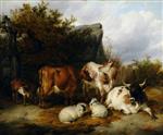 Bild:40455