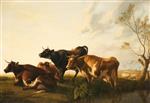 Bild:40468