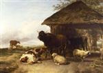 Bild:40478
