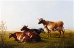 Bild:40479