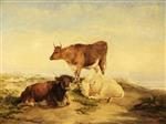 Bild:40486