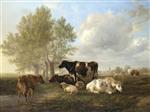 Bild:40492
