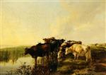 Bild:40508