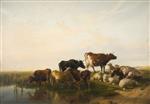 Bild:40524