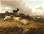 Bild:40529