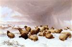 Bild:40560