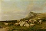 Bild:40563