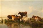 Bild:40564