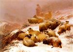 Bild:40572