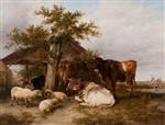 Bild:40575