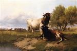 Bild:40581