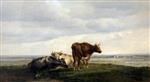 Bild:40584