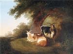 Bild:40586