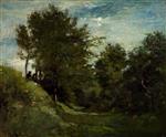 Bild:40654