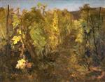 Bild:40724