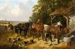 Bild:40885