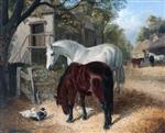 Bild:40889