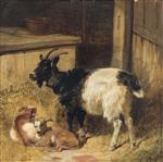 Bild:40906