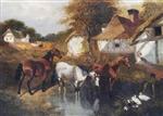 Bild:40916
