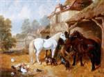 Bild:40917
