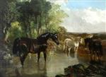 Bild:40968