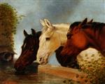 Bild:40979