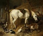 Bild:40990