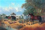 Bild:40991