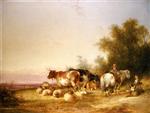 Bild:41358
