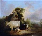 Bild:41414