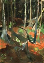 Bild:42494