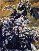 Bild:42972