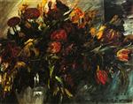 Bild:43067