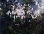 Bild:43175