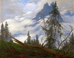Bild:43225