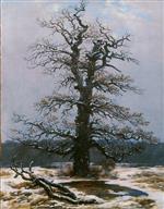 Bild:43231