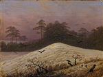 Bild:43258