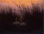Bild:43263