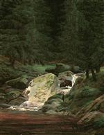 Bild:43264