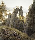 Bild:43277