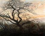 Bild:43278