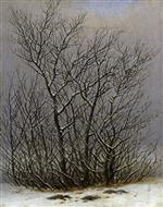 Bild:43283