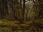 Bild:43294
