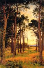 Bild:43761
