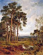 Bild:43797