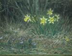 Bild:43854